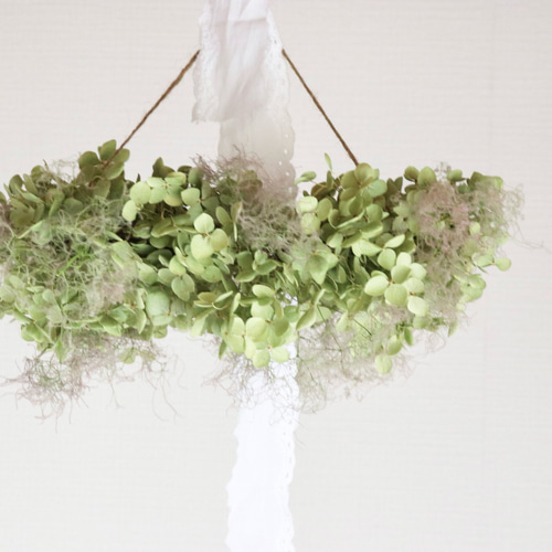 フライングリース アナベル アナベルリース スモークツリー