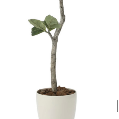 光触媒　人工観葉植物　ウォールグリーン　フェイクグリーン　ベンガル菩提樹1.35 光触媒 人工観葉植物 ウォールグリーン フェイクグリーン