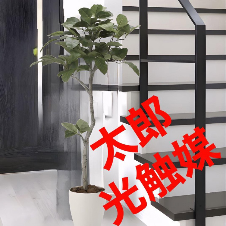 光触媒　人工観葉植物　ウォールグリーン　フェイクグリーン　ベンガル菩提樹1.35 19,296円