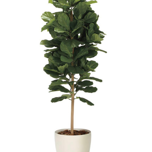 光触媒 人工観葉植物 フェイクグリーン DXカシワバゴム1.8maj その他