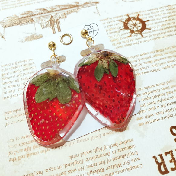 本物の野菜アクセサリー【チョコいちご】 イヤリング・ピアス