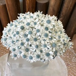 フラワーキャンドル のおすすめ人気通販 検索結果｜Creema(クリーマ  