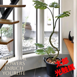 光触媒 人工観葉植物 ウォールグリーン フェイクグリーン サンスベリア