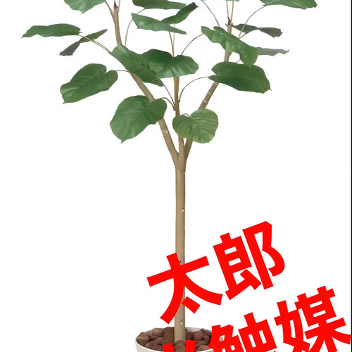 光触媒 人工観葉植物 ウォールグリーン フェイクグリーン ウンベラータ