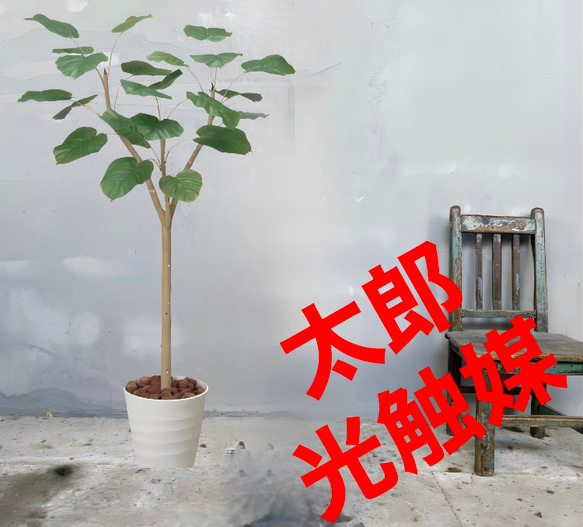 光触媒 人工観葉植物 ウォールグリーン フェイクグリーン