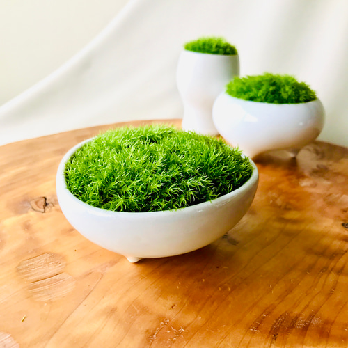 天然石・懸崖用石鉢・盆栽鉢・コケ鉢・一輪挿し鉢】庭石オブジェ置物