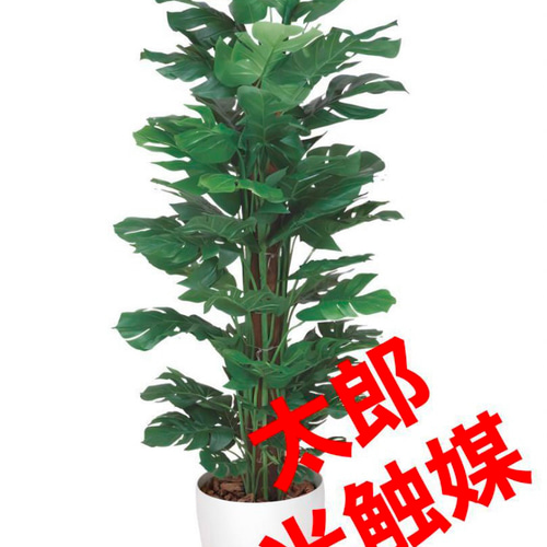 光触媒 人工観葉植物 ウォールグリーン フェイクグリーン スプリット  