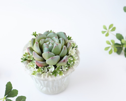 00bc1284eff50d1b12e346ea998c2e