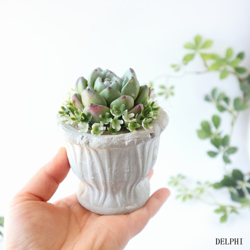 フェイク多肉植物の寄せ植えアレンジ（エケベリア）【アーティ