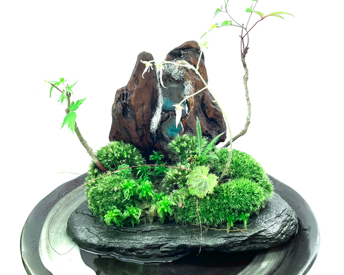 234916c3fc296ea61dc1dc31a25905