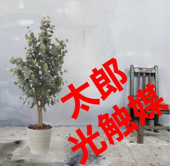 光触媒人工観葉植物ウォールグリーンフェイクグリーンカシワバゴム1.25