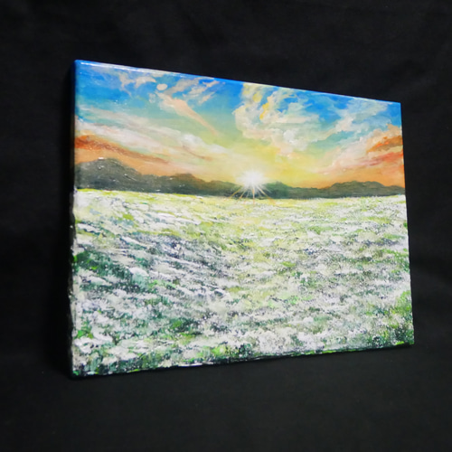 油絵 油彩 油彩画 絵 絵画　【草原に咲く白い花と朝日】 油絵 油彩 油彩画 絵 絵画 【草原に咲く白い花】 | HIROSHI1990