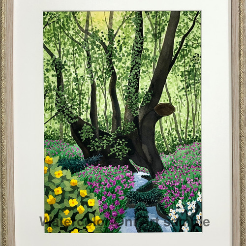 大カツラとカタクリの花」透明水彩画 原画 風景画 額縁付 F4 大カツラとカタクリの花」透明水彩画 原画 風景画 額縁付 F4