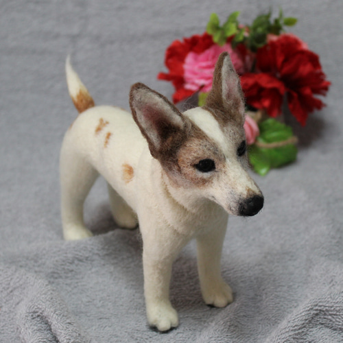 羊毛フェルト オーダー 「リアルで可愛いワンちゃん」ジャックラッセル