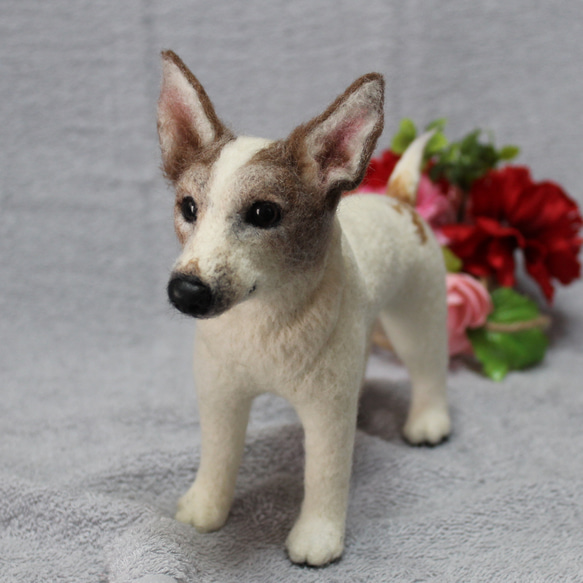 羊毛フェルト オーダー 「リアルで可愛いワンちゃん」ジャックラッセル