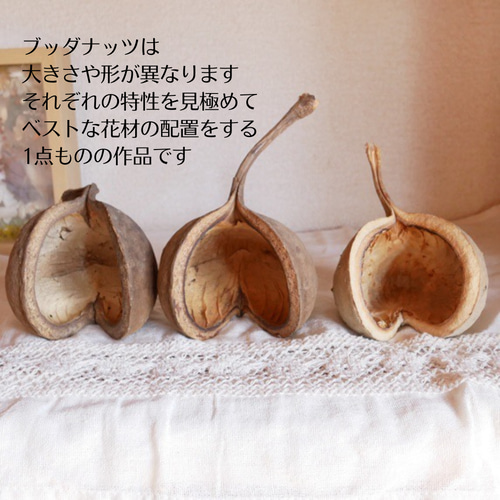 ブッダナッツ ドライフラワー 黄色 ドライフラワー nanohanaya 通販