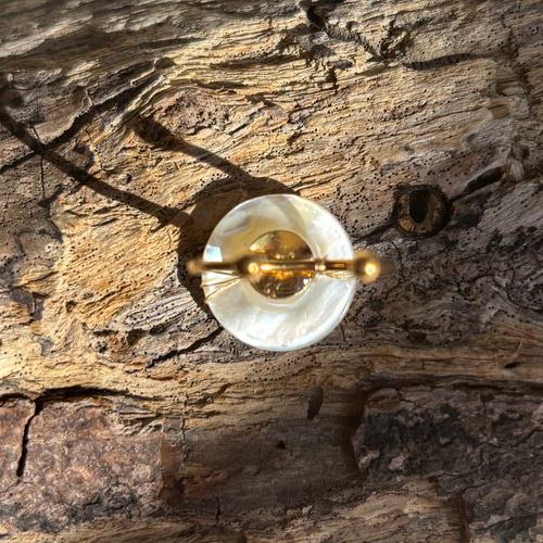 白蝶貝 マザーオブパール リング 真珠の母貝 14KGF 1点モノ サイズ