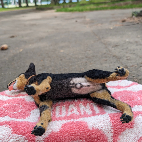 news - 羊毛フェルト yucoco cafe さくだゆうこ 【受注製作お