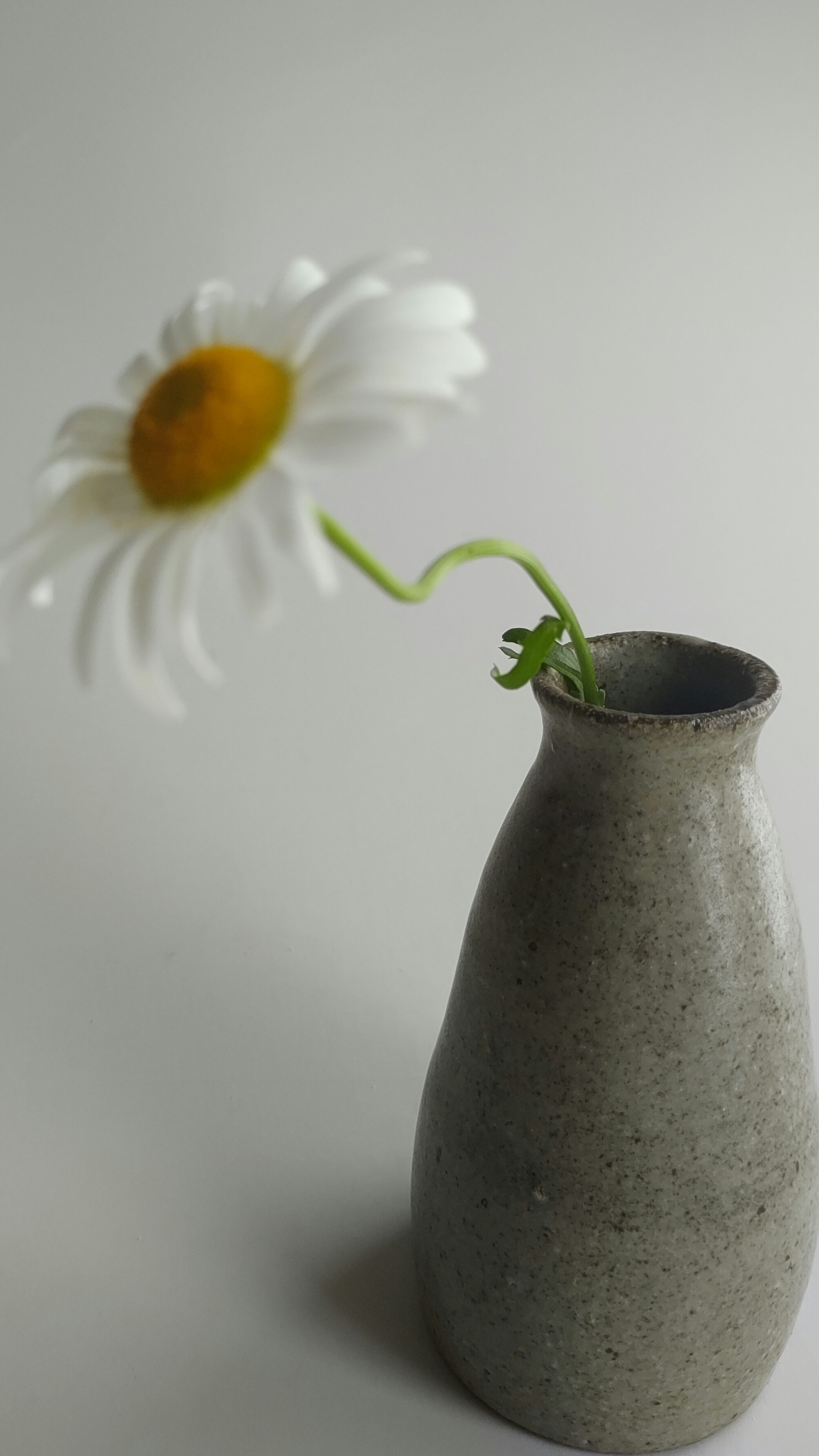 灰釉花入002