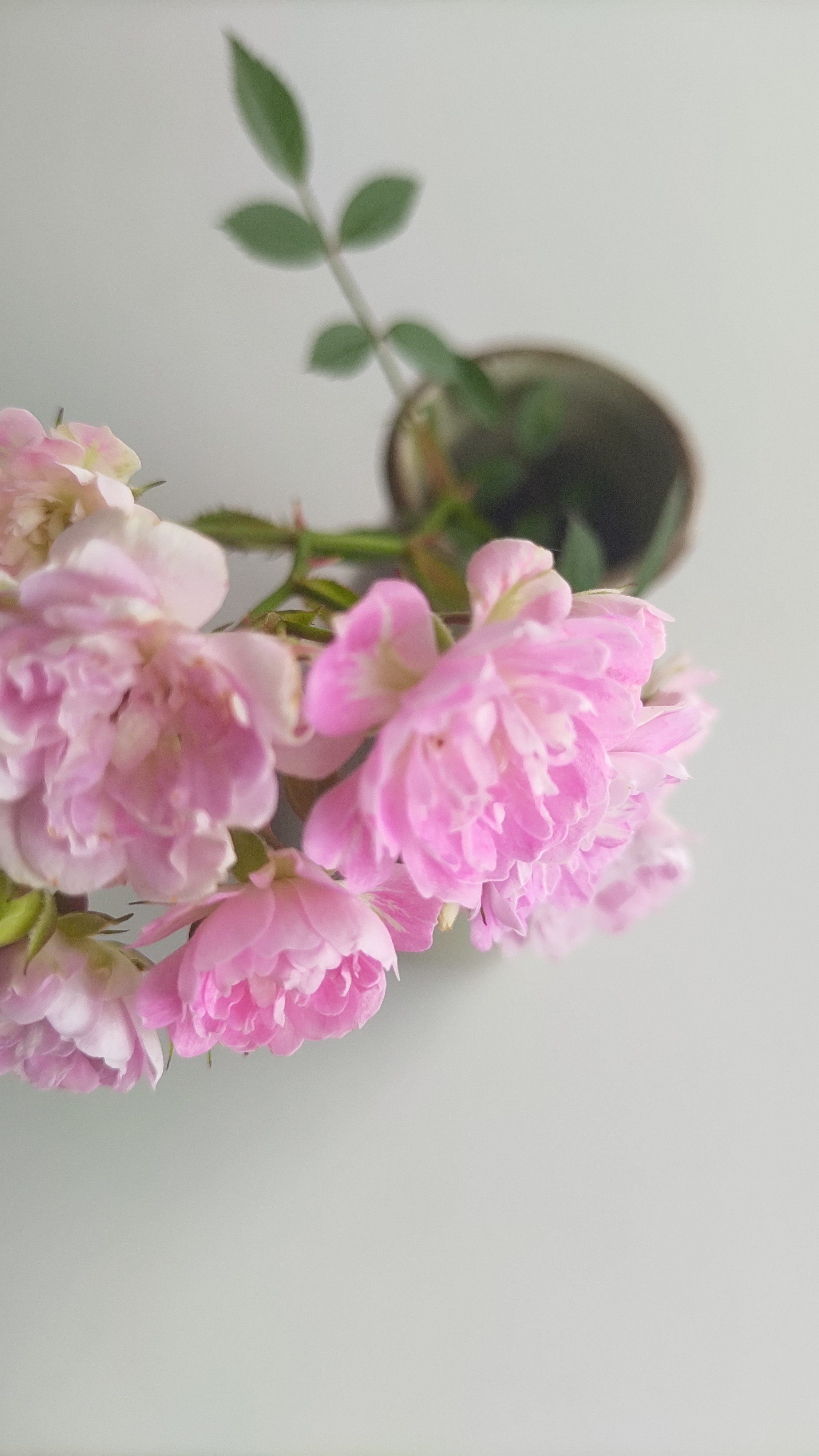灰釉花入002