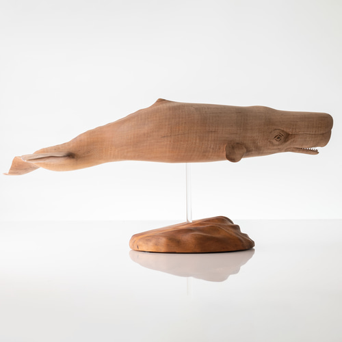 マッコウクジラ(全長50センチ) 立体・オブジェ カエルの一生 通販