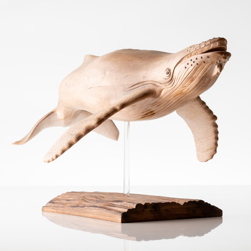 ザトウクジラ(全長45センチ) 立体・オブジェ カエルの一生