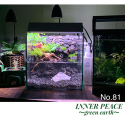 a44f6aaa2766c9b1bed18820319613