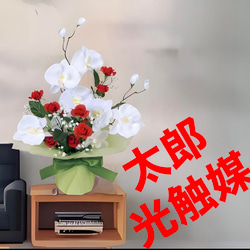 光触媒　人工観葉植物　ウォールグリーン　造花　アレンジ　ヤシとバナナ 光触媒人工観葉植物ウォールグリーン造花アレンジヤシとバナナ