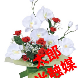 光触媒　人工観葉植物　フェイクグリーン　ブライトコチョウラン 3枚目の画像