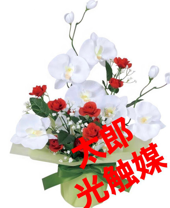 光触媒　人工観葉植物　フェイクグリーン　ブライトコチョウラン 3枚目の画像