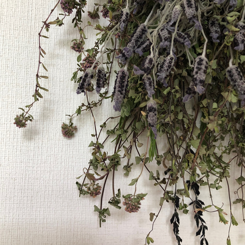 ラベンダー ユーカリ ハーブ 香りのスワッグ 32cm ＊ ローズ