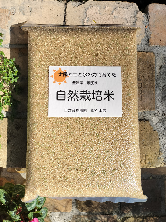 自然栽培米 玄米カイロ 5個セット 玄米カイロ | seed and soil | ELEMINIST