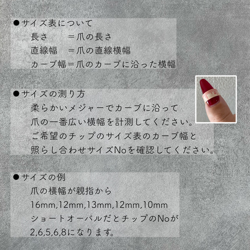 ぶー　　オーダーチップ No.04 サイズオーダー ネイルチップ ふぇみー ネイルチップ（つけ爪