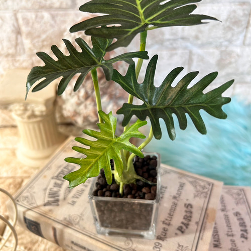 光触媒 人工観葉植物 ウォールグリーン フェイクグリーン アロカシアと