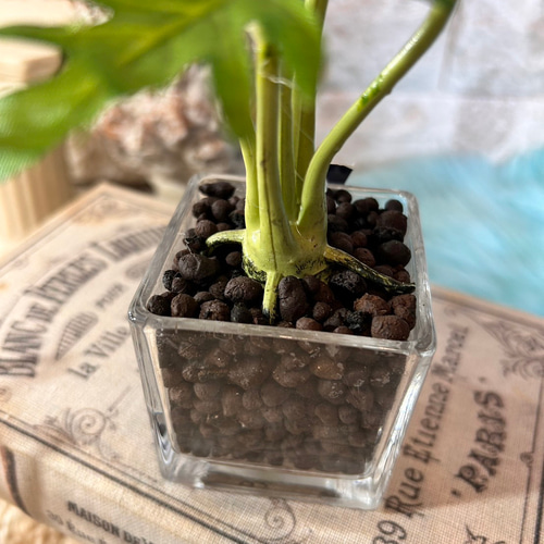 光触媒 人工観葉植物 ウォールグリーン フェイクグリーン アロカシアと