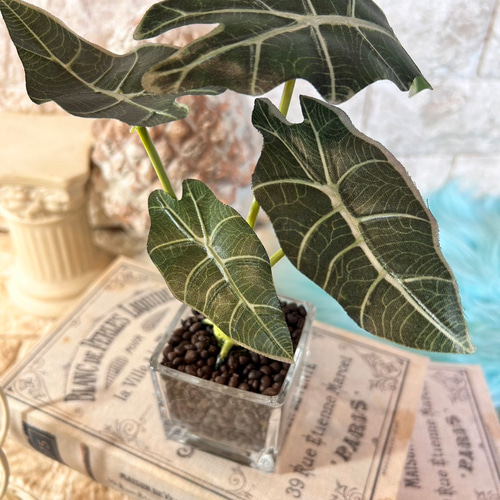 光触媒　人工観葉植物　ウォールグリーン　フェイクグリーン　アロカシア斑入りポット 光触媒 人工観葉植物 ウォールグリーン フェイクグリーン アロカシアと