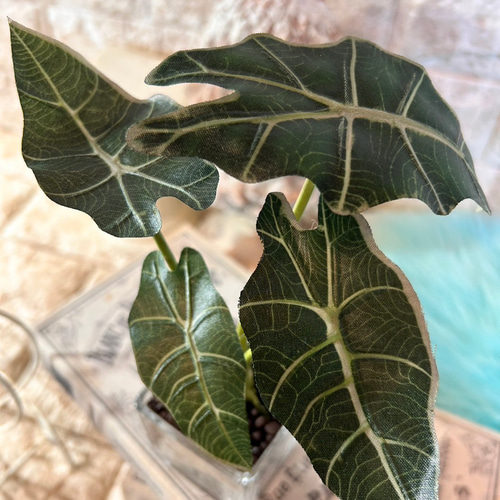 光触媒 人工観葉植物 ウォールグリーン フェイクグリーン アロカシアと