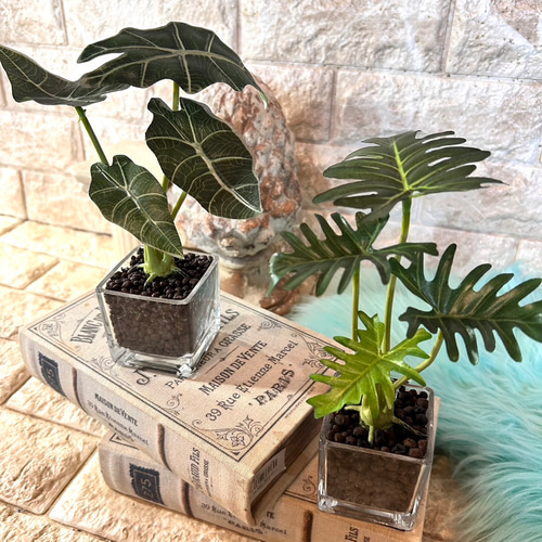 光触媒 人工観葉植物 ウォールグリーン フェイクグリーン アロカシアと