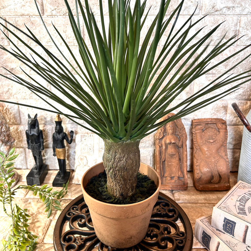 光触媒 人工観葉植物 ウォールグリーン フェイクグリーン ユッカ