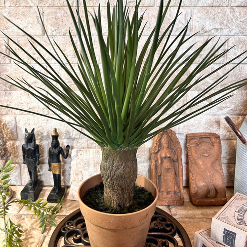 光触媒 人工観葉植物 ウォールグリーン フェイクグリーン ユッカ