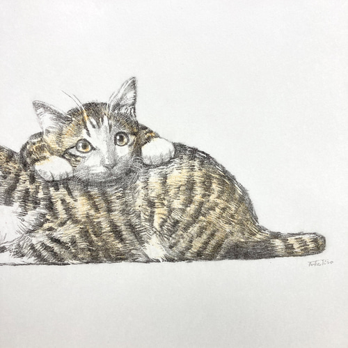 猫(版画）|アート＆フレーム|絵と額縁の専門店