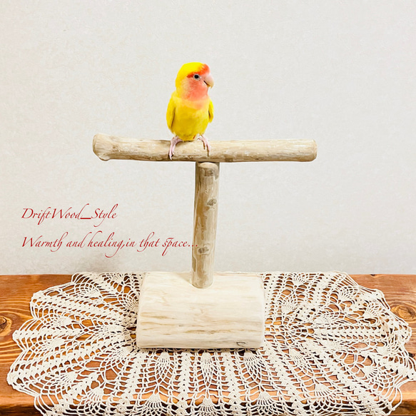 流木インテリア  中～大型インコも止まれる天然流木の小鳥の止まり木 スタンドタイプ インコ オウム 鳥 自然木 N10 2枚目の画像