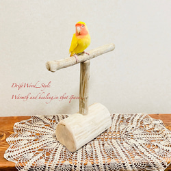 流木インテリア  中～大型インコも止まれる天然流木の小鳥の止まり木 スタンドタイプ インコ オウム 鳥 自然木 N10 3枚目の画像