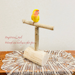 流木インテリア  中～大型インコも止まれる天然流木の小鳥の止まり木 スタンドタイプ インコ オウム 鳥 自然木 N10 4枚目の画像