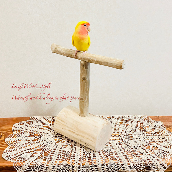 流木インテリア  中～大型インコも止まれる天然流木の小鳥の止まり木 スタンドタイプ インコ オウム 鳥 自然木 N10 4枚目の画像