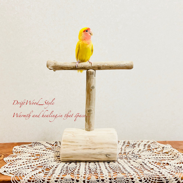 流木の止まり木 取り外しができる止まり木スタンド インコ