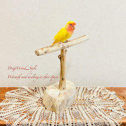 流木インテリア  中～大型インコも止まれる天然流木の小鳥の止まり木 スタンドタイプ インコ オウム 鳥 自然木 N11 3枚目の画像