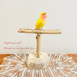 流木インテリア  中～大型インコも止まれる天然流木の小鳥の止まり木 スタンドタイプ インコ オウム 鳥 自然木 N11 2枚目の画像