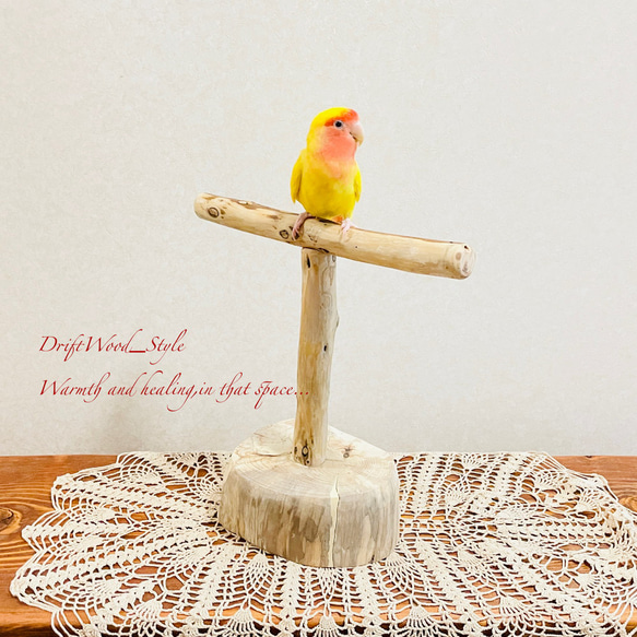 流木インテリア  中～大型インコも止まれる天然流木の小鳥の止まり木 スタンドタイプ インコ オウム 鳥 自然木 N11 4枚目の画像