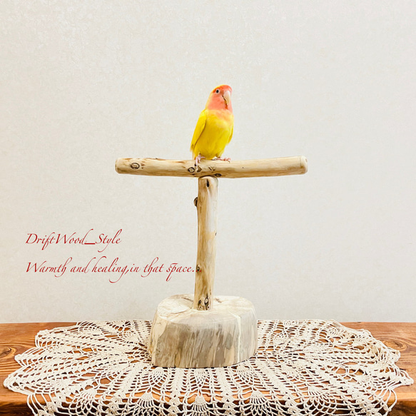 流木インテリア  中～大型インコも止まれる天然流木の小鳥の止まり木 スタンドタイプ インコ オウム 鳥 自然木 N11 1枚目の画像